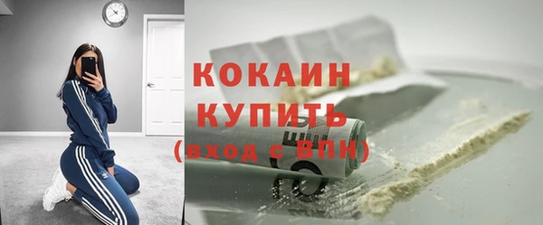 гидра Майский